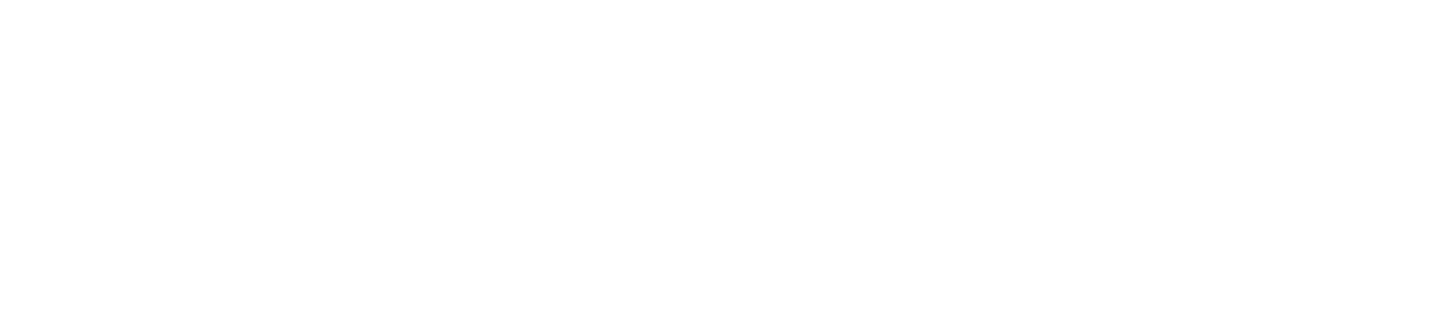ST Gaming